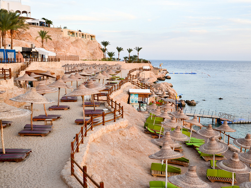 
                                        Sharm Resort
                    