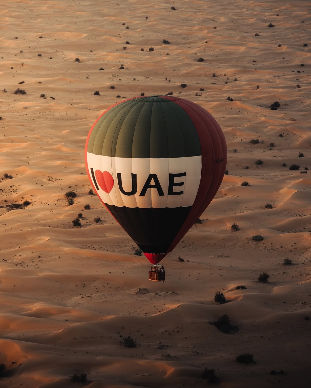                             AGENDIREIS: Araabia Ühendemiraadid
                         