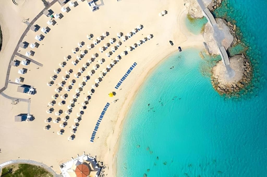                             AGENDIREIS: El Alamein
                         