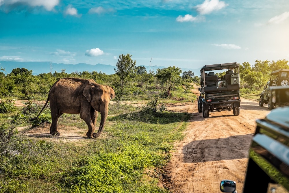  AGENDIREIS: Sri Lanka 