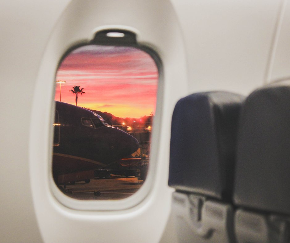 Üllatusreis palmi alla